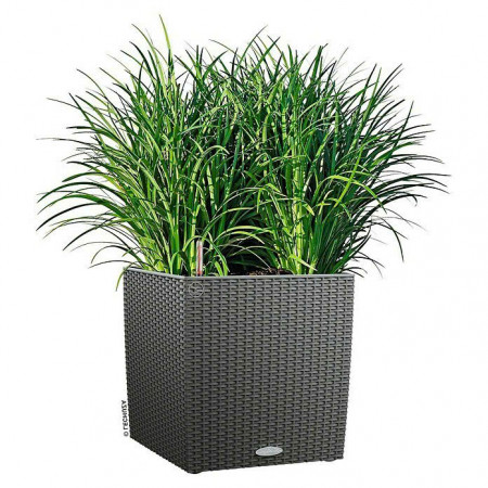 Chậu Trồng Hoa : Hình Vuông 40 x 40cm 